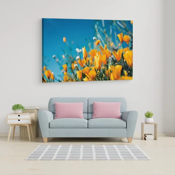 Multicolor_16_X_24_Inch,_Pine_Wood_Framed_Canvas_Paintings_|_For_Home_Decor,_Ready_To_Wall_Hanging,_Premium_Painting_|_For_|_Bedroom,_Living_Room,_Office_Wall_Decoration_|_Wall_Art_Painting,_Ct1790