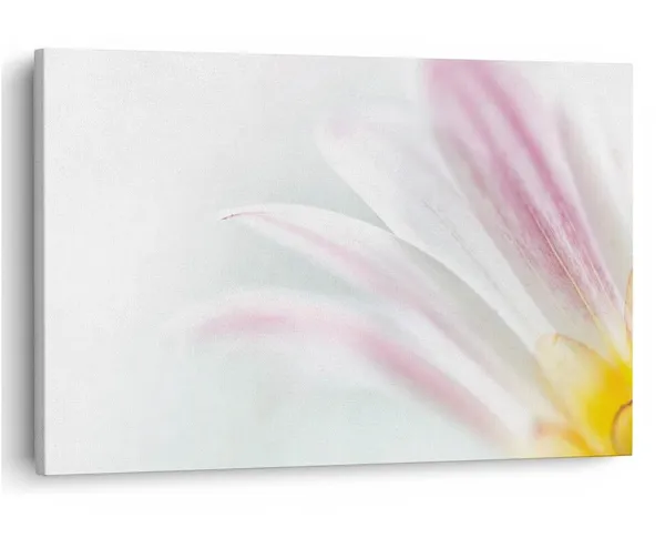 Multicolor_16_X_24_Inch,_Pine_Wood_Framed_Canvas_Paintings_|_For_Home_Decor,_Ready_To_Wall_Hanging,_Premium_Painting_|_For_|_Bedroom,_Living_Room,_Office_Wall_Decoration_|_Wall_Art_Painting,_Ct1792