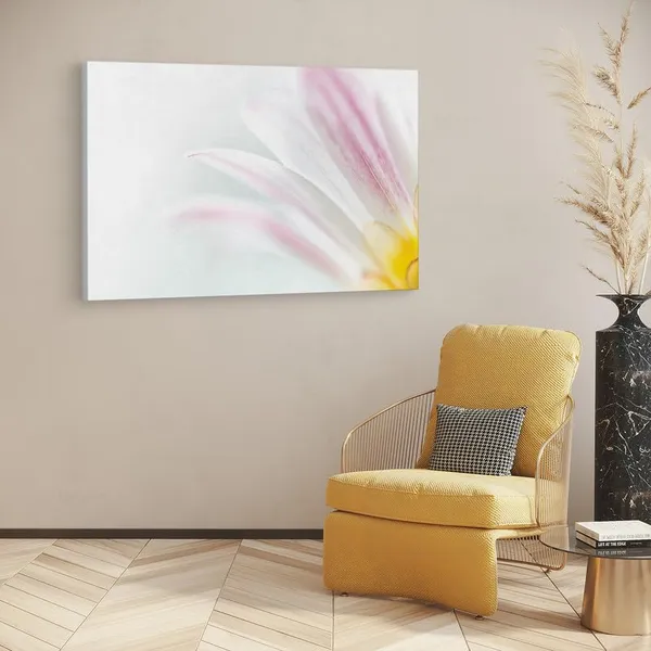 Multicolor_16_X_24_Inch,_Pine_Wood_Framed_Canvas_Paintings_|_For_Home_Decor,_Ready_To_Wall_Hanging,_Premium_Painting_|_For_|_Bedroom,_Living_Room,_Office_Wall_Decoration_|_Wall_Art_Painting,_Ct1792