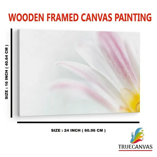 Multicolor_16_X_24_Inch,_Pine_Wood_Framed_Canvas_Paintings_|_For_Home_Decor,_Ready_To_Wall_Hanging,_Premium_Painting_|_For_|_Bedroom,_Living_Room,_Office_Wall_Decoration_|_Wall_Art_Painting,_Ct1792