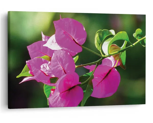 Multicolor_16_X_24_Inch,_Pine_Wood_Framed_Canvas_Paintings_|_For_Home_Decor,_Ready_To_Wall_Hanging,_Premium_Painting_|_For_|_Bedroom,_Living_Room,_Office_Wall_Decoration_|_Wall_Art_Painting,_Ct1793