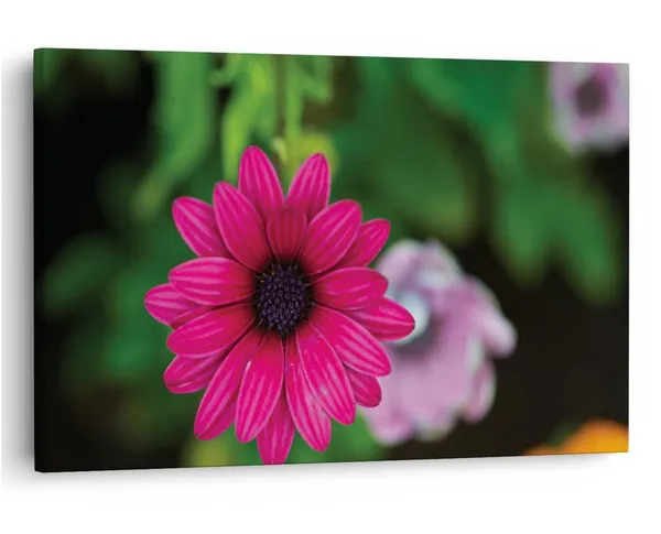 Multicolor_16_X_24_Inch,_Pine_Wood_Framed_Canvas_Paintings_|_For_Home_Decor,_Ready_To_Wall_Hanging,_Premium_Painting_|_For_|_Bedroom,_Living_Room,_Office_Wall_Decoration_|_Wall_Art_Painting,_Ct1794