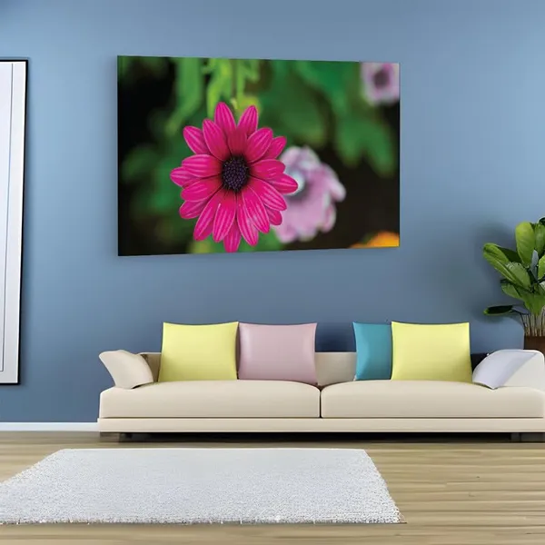 Multicolor_16_X_24_Inch,_Pine_Wood_Framed_Canvas_Paintings_|_For_Home_Decor,_Ready_To_Wall_Hanging,_Premium_Painting_|_For_|_Bedroom,_Living_Room,_Office_Wall_Decoration_|_Wall_Art_Painting,_Ct1794