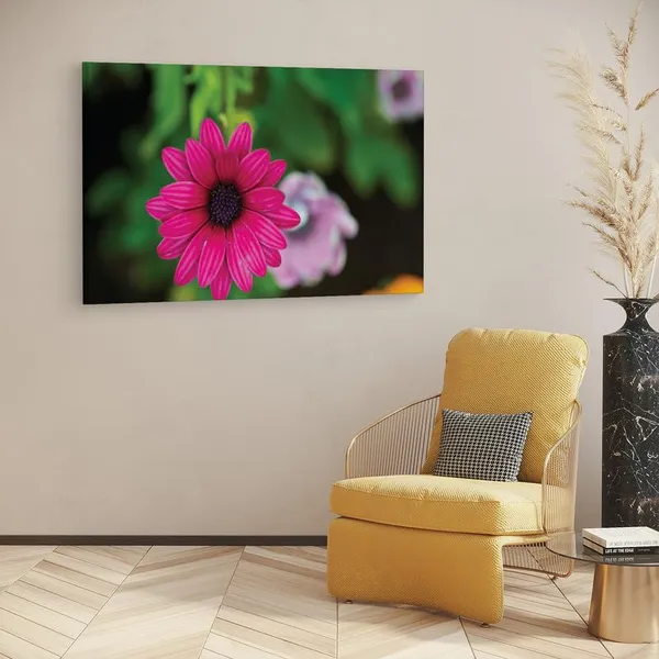 Multicolor_16_X_24_Inch,_Pine_Wood_Framed_Canvas_Paintings_|_For_Home_Decor,_Ready_To_Wall_Hanging,_Premium_Painting_|_For_|_Bedroom,_Living_Room,_Office_Wall_Decoration_|_Wall_Art_Painting,_Ct1794