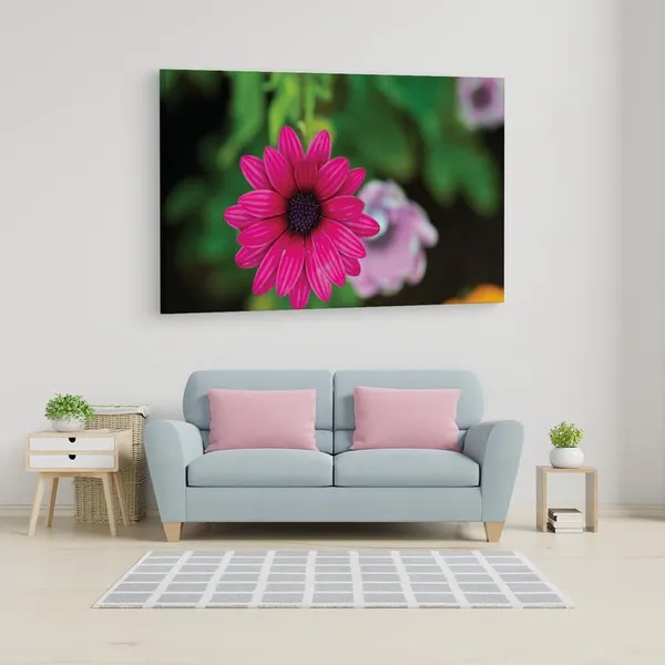 Multicolor_16_X_24_Inch,_Pine_Wood_Framed_Canvas_Paintings_|_For_Home_Decor,_Ready_To_Wall_Hanging,_Premium_Painting_|_For_|_Bedroom,_Living_Room,_Office_Wall_Decoration_|_Wall_Art_Painting,_Ct1794