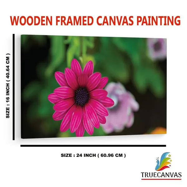 Multicolor_16_X_24_Inch,_Pine_Wood_Framed_Canvas_Paintings_|_For_Home_Decor,_Ready_To_Wall_Hanging,_Premium_Painting_|_For_|_Bedroom,_Living_Room,_Office_Wall_Decoration_|_Wall_Art_Painting,_Ct1794