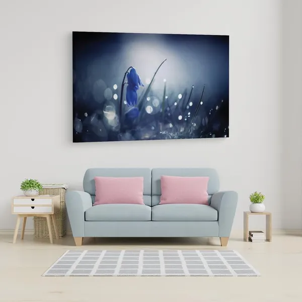 Multicolor_16_X_24_Inch,_Pine_Wood_Framed_Canvas_Paintings_|_For_Home_Decor,_Ready_To_Wall_Hanging,_Premium_Painting_|_For_|_Bedroom,_Living_Room,_Office_Wall_Decoration_|_Wall_Art_Painting,_Ct1797