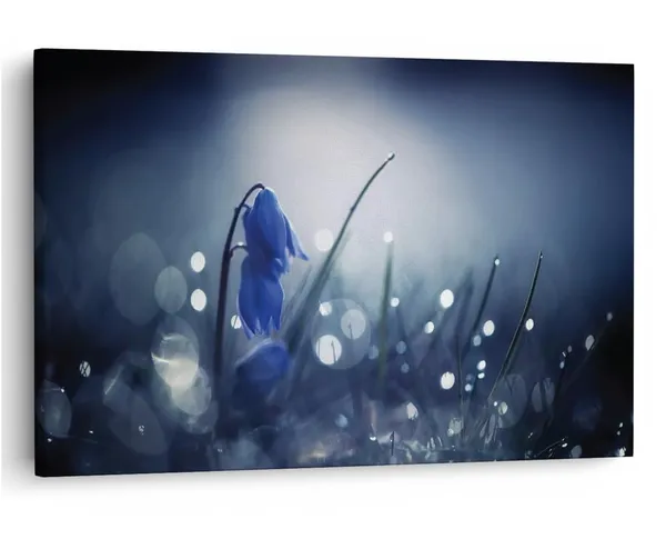 Multicolor_16_X_24_Inch,_Pine_Wood_Framed_Canvas_Paintings_|_For_Home_Decor,_Ready_To_Wall_Hanging,_Premium_Painting_|_For_|_Bedroom,_Living_Room,_Office_Wall_Decoration_|_Wall_Art_Painting,_Ct1797