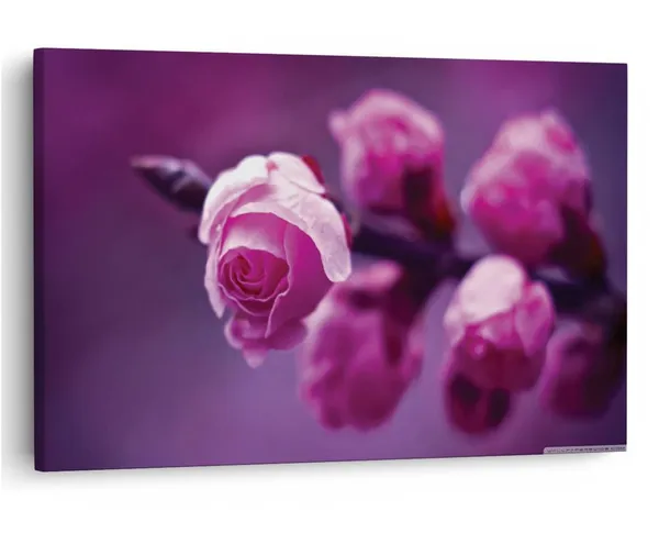Multicolor_16_X_24_Inch,_Pine_Wood_Framed_Canvas_Paintings_|_For_Home_Decor,_Ready_To_Wall_Hanging,_Premium_Painting_|_For_|_Bedroom,_Living_Room,_Office_Wall_Decoration_|_Wall_Art_Painting,_Ct1798