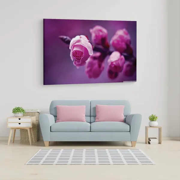 Multicolor_16_X_24_Inch,_Pine_Wood_Framed_Canvas_Paintings_|_For_Home_Decor,_Ready_To_Wall_Hanging,_Premium_Painting_|_For_|_Bedroom,_Living_Room,_Office_Wall_Decoration_|_Wall_Art_Painting,_Ct1798