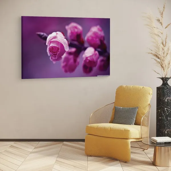 Multicolor_16_X_24_Inch,_Pine_Wood_Framed_Canvas_Paintings_|_For_Home_Decor,_Ready_To_Wall_Hanging,_Premium_Painting_|_For_|_Bedroom,_Living_Room,_Office_Wall_Decoration_|_Wall_Art_Painting,_Ct1798