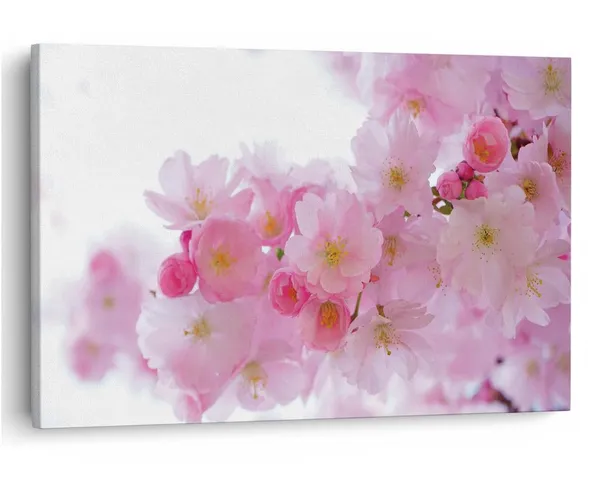 Multicolor_16_X_24_Inch,_Pine_Wood_Framed_Canvas_Paintings_|_For_Home_Decor,_Ready_To_Wall_Hanging,_Premium_Painting_|_For_|_Bedroom,_Living_Room,_Office_Wall_Decoration_|_Wall_Art_Painting,_Ct1800