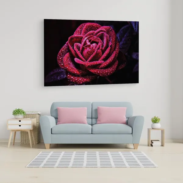 Multicolor_16_X_24_Inch,_Pine_Wood_Framed_Canvas_Paintings_|_For_Home_Decor,_Ready_To_Wall_Hanging,_Premium_Painting_|_For_|_Bedroom,_Living_Room,_Office_Wall_Decoration_|_Wall_Art_Painting,_Ct1801