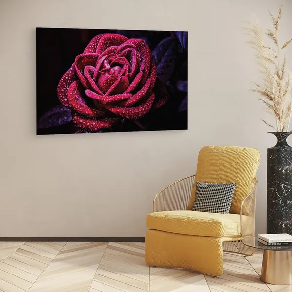 Multicolor_16_X_24_Inch,_Pine_Wood_Framed_Canvas_Paintings_|_For_Home_Decor,_Ready_To_Wall_Hanging,_Premium_Painting_|_For_|_Bedroom,_Living_Room,_Office_Wall_Decoration_|_Wall_Art_Painting,_Ct1801