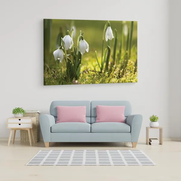 Multicolor_16_X_24_Inch,_Pine_Wood_Framed_Canvas_Paintings_|_For_Home_Decor,_Ready_To_Wall_Hanging,_Premium_Painting_|_For_|_Bedroom,_Living_Room,_Office_Wall_Decoration_|_Wall_Art_Painting,_Ct1803
