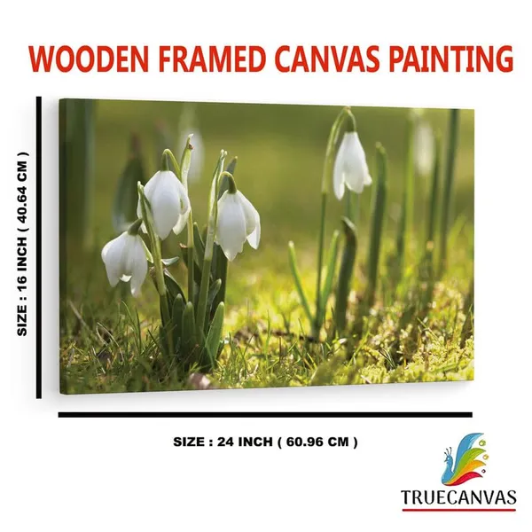 Multicolor_16_X_24_Inch,_Pine_Wood_Framed_Canvas_Paintings_|_For_Home_Decor,_Ready_To_Wall_Hanging,_Premium_Painting_|_For_|_Bedroom,_Living_Room,_Office_Wall_Decoration_|_Wall_Art_Painting,_Ct1803