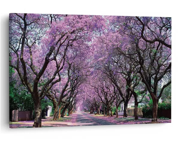 Multicolor_16_X_24_Inch,_Pine_Wood_Framed_Canvas_Paintings_|_For_Home_Decor,_Ready_To_Wall_Hanging,_Premium_Painting_|_For_|_Bedroom,_Living_Room,_Office_Wall_Decoration_|_Wall_Art_Painting,_Ct1807