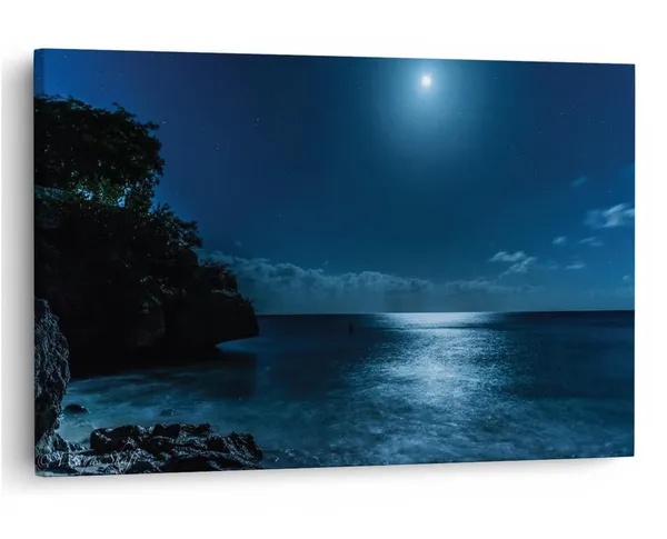 Multicolor_16_X_24_Inch,_Pine_Wood_Framed_Canvas_Paintings_|_For_Home_Decor,_Ready_To_Wall_Hanging,_Premium_Painting_|_For_|_Bedroom,_Living_Room,_Office_Wall_Decoration_|_Wall_Art_Painting,_Ct1810