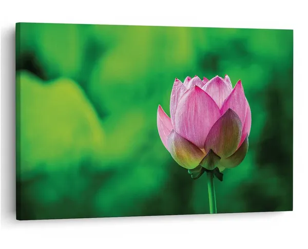 Multicolor_16_X_24_Inch,_Pine_Wood_Framed_Canvas_Paintings_|_For_Home_Decor,_Ready_To_Wall_Hanging,_Premium_Painting_|_For_|_Bedroom,_Living_Room,_Office_Wall_Decoration_|_Wall_Art_Painting,_Ct1812