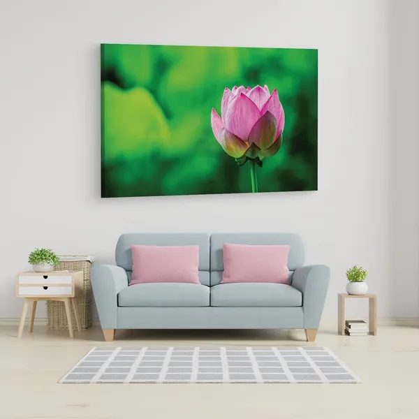 Multicolor_16_X_24_Inch,_Pine_Wood_Framed_Canvas_Paintings_|_For_Home_Decor,_Ready_To_Wall_Hanging,_Premium_Painting_|_For_|_Bedroom,_Living_Room,_Office_Wall_Decoration_|_Wall_Art_Painting,_Ct1812