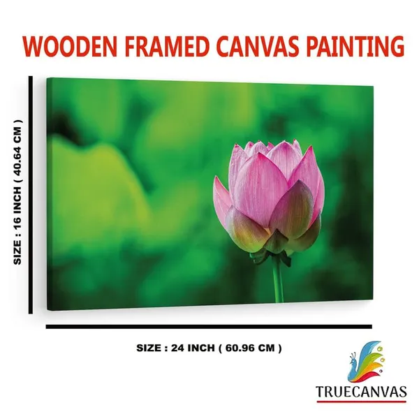 Multicolor_16_X_24_Inch,_Pine_Wood_Framed_Canvas_Paintings_|_For_Home_Decor,_Ready_To_Wall_Hanging,_Premium_Painting_|_For_|_Bedroom,_Living_Room,_Office_Wall_Decoration_|_Wall_Art_Painting,_Ct1812