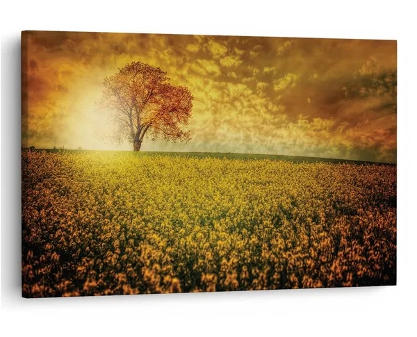 Multicolor_16_X_24_Inch,_Pine_Wood_Framed_Canvas_Paintings_|_For_Home_Decor,_Ready_To_Wall_Hanging,_Premium_Painting_|_For_|_Bedroom,_Living_Room,_Office_Wall_Decoration_|_Wall_Art_Painting,_Ct1813