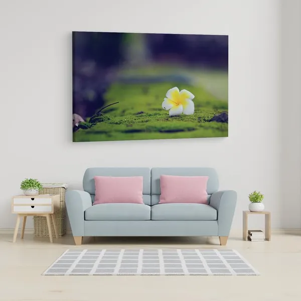 Multicolor_16_X_24_Inch,_Pine_Wood_Framed_Canvas_Paintings_|_For_Home_Decor,_Ready_To_Wall_Hanging,_Premium_Painting_|_For_|_Bedroom,_Living_Room,_Office_Wall_Decoration_|_Wall_Art_Painting,_Ct1820