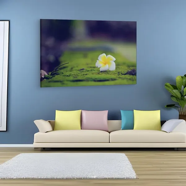 Multicolor_16_X_24_Inch,_Pine_Wood_Framed_Canvas_Paintings_|_For_Home_Decor,_Ready_To_Wall_Hanging,_Premium_Painting_|_For_|_Bedroom,_Living_Room,_Office_Wall_Decoration_|_Wall_Art_Painting,_Ct1820