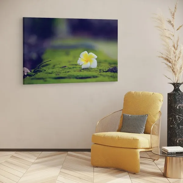 Multicolor_16_X_24_Inch,_Pine_Wood_Framed_Canvas_Paintings_|_For_Home_Decor,_Ready_To_Wall_Hanging,_Premium_Painting_|_For_|_Bedroom,_Living_Room,_Office_Wall_Decoration_|_Wall_Art_Painting,_Ct1820
