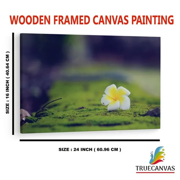 Multicolor_16_X_24_Inch,_Pine_Wood_Framed_Canvas_Paintings_|_For_Home_Decor,_Ready_To_Wall_Hanging,_Premium_Painting_|_For_|_Bedroom,_Living_Room,_Office_Wall_Decoration_|_Wall_Art_Painting,_Ct1820