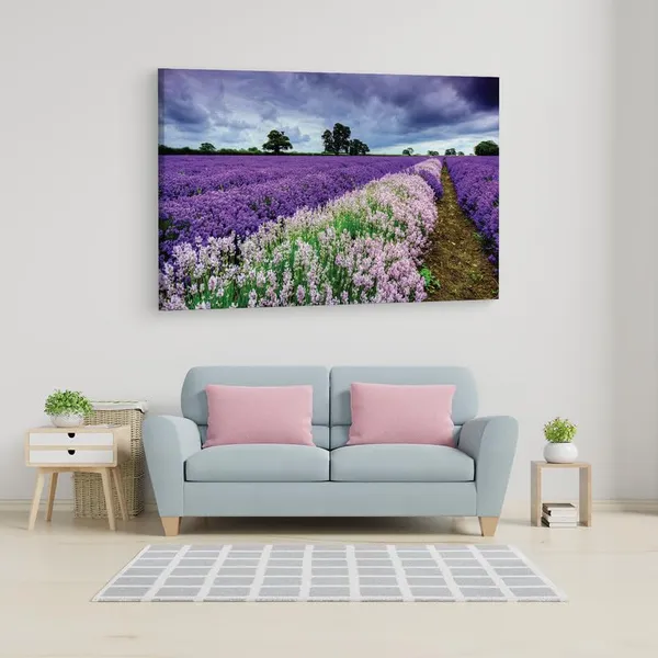 Multicolor_16_X_24_Inch,_Pine_Wood_Framed_Canvas_Paintings_|_For_Home_Decor,_Ready_To_Wall_Hanging,_Premium_Painting_|_For_|_Bedroom,_Living_Room,_Office_Wall_Decoration_|_Wall_Art_Painting,_Ct1823