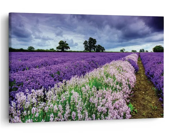 Multicolor_16_X_24_Inch,_Pine_Wood_Framed_Canvas_Paintings_|_For_Home_Decor,_Ready_To_Wall_Hanging,_Premium_Painting_|_For_|_Bedroom,_Living_Room,_Office_Wall_Decoration_|_Wall_Art_Painting,_Ct1823