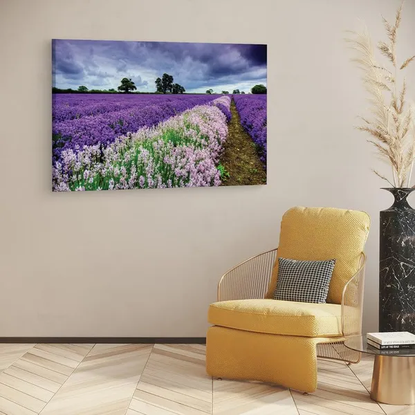 Multicolor_16_X_24_Inch,_Pine_Wood_Framed_Canvas_Paintings_|_For_Home_Decor,_Ready_To_Wall_Hanging,_Premium_Painting_|_For_|_Bedroom,_Living_Room,_Office_Wall_Decoration_|_Wall_Art_Painting,_Ct1823