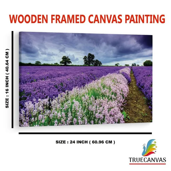 Multicolor_16_X_24_Inch,_Pine_Wood_Framed_Canvas_Paintings_|_For_Home_Decor,_Ready_To_Wall_Hanging,_Premium_Painting_|_For_|_Bedroom,_Living_Room,_Office_Wall_Decoration_|_Wall_Art_Painting,_Ct1823