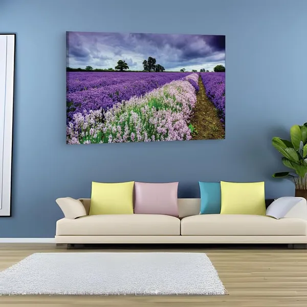 Multicolor_16_X_24_Inch,_Pine_Wood_Framed_Canvas_Paintings_|_For_Home_Decor,_Ready_To_Wall_Hanging,_Premium_Painting_|_For_|_Bedroom,_Living_Room,_Office_Wall_Decoration_|_Wall_Art_Painting,_Ct1823