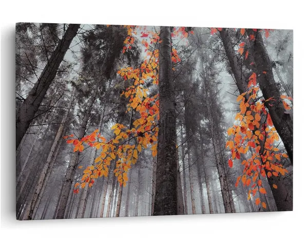 Multicolor_16_X_24_Inch,_Pine_Wood_Framed_Canvas_Paintings_|_For_Home_Decor,_Ready_To_Wall_Hanging,_Premium_Painting_|_For_|_Bedroom,_Living_Room,_Office_Wall_Decoration_|_Wall_Art_Painting,_Ct1824