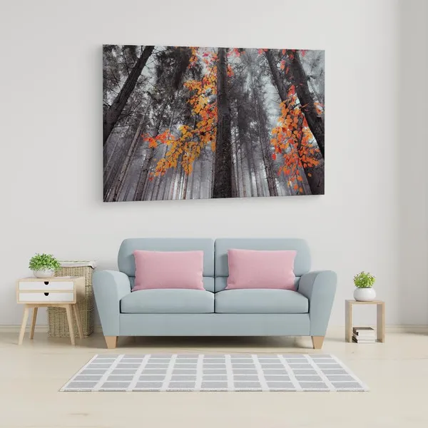 Multicolor_16_X_24_Inch,_Pine_Wood_Framed_Canvas_Paintings_|_For_Home_Decor,_Ready_To_Wall_Hanging,_Premium_Painting_|_For_|_Bedroom,_Living_Room,_Office_Wall_Decoration_|_Wall_Art_Painting,_Ct1824