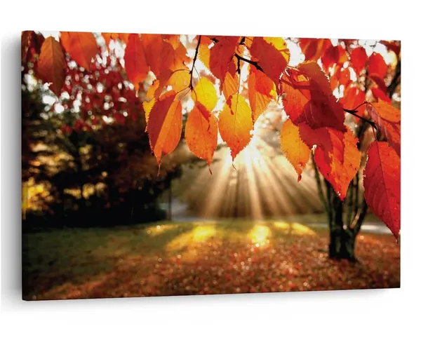 Multicolor_16_X_24_Inch,_Pine_Wood_Framed_Canvas_Paintings_|_For_Home_Decor,_Ready_To_Wall_Hanging,_Premium_Painting_|_For_|_Bedroom,_Living_Room,_Office_Wall_Decoration_|_Wall_Art_Painting,_Ct1825