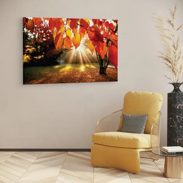 Multicolor_16_X_24_Inch,_Pine_Wood_Framed_Canvas_Paintings_|_For_Home_Decor,_Ready_To_Wall_Hanging,_Premium_Painting_|_For_|_Bedroom,_Living_Room,_Office_Wall_Decoration_|_Wall_Art_Painting,_Ct1825