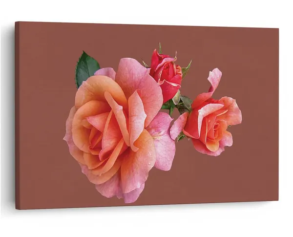 Multicolor_16_X_24_Inch,_Pine_Wood_Framed_Canvas_Paintings_|_For_Home_Decor,_Ready_To_Wall_Hanging,_Premium_Painting_|_For_|_Bedroom,_Living_Room,_Office_Wall_Decoration_|_Wall_Art_Painting,_Ct1829