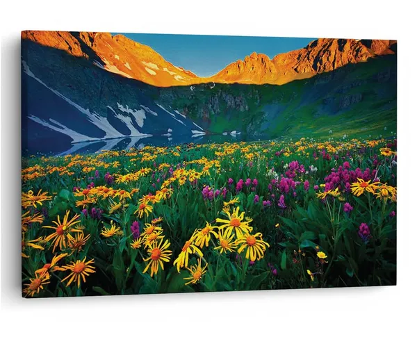 Multicolor_16_X_24_Inch,_Pine_Wood_Framed_Canvas_Paintings_|_For_Home_Decor,_Ready_To_Wall_Hanging,_Premium_Painting_|_For_|_Bedroom,_Living_Room,_Office_Wall_Decoration_|_Wall_Art_Painting,_Ct1830
