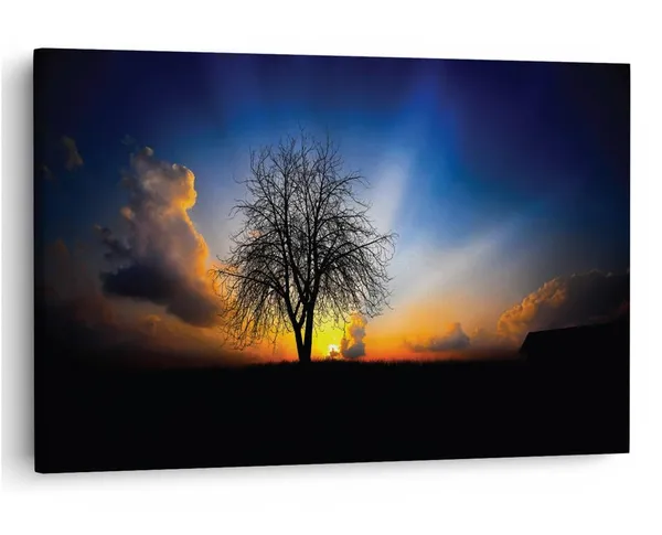 Multicolor_16_X_24_Inch,_Pine_Wood_Framed_Canvas_Paintings_|_For_Home_Decor,_Ready_To_Wall_Hanging,_Premium_Painting_|_For_|_Bedroom,_Living_Room,_Office_Wall_Decoration_|_Wall_Art_Painting,_Ct1836