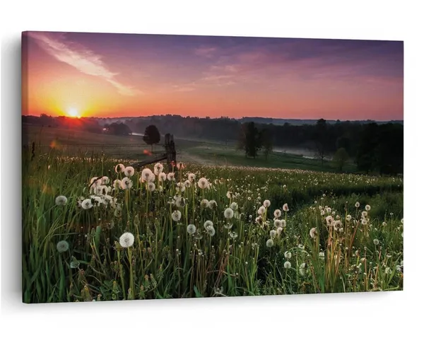Multicolor_16_X_24_Inch,_Pine_Wood_Framed_Canvas_Paintings_|_For_Home_Decor,_Ready_To_Wall_Hanging,_Premium_Painting_|_For_|_Bedroom,_Living_Room,_Office_Wall_Decoration_|_Wall_Art_Painting,_Ct1844