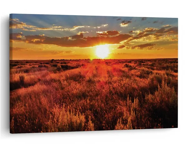Multicolor_16_X_24_Inch,_Pine_Wood_Framed_Canvas_Paintings_|_For_Home_Decor,_Ready_To_Wall_Hanging,_Premium_Painting_|_For_|_Bedroom,_Living_Room,_Office_Wall_Decoration_|_Wall_Art_Painting,_Ct1845