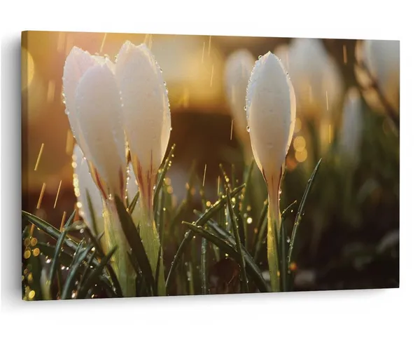 Multicolor_16_X_24_Inch,_Pine_Wood_Framed_Canvas_Paintings_|_For_Home_Decor,_Ready_To_Wall_Hanging,_Premium_Painting_|_For_|_Bedroom,_Living_Room,_Office_Wall_Decoration_|_Wall_Art_Painting,_Ct1846