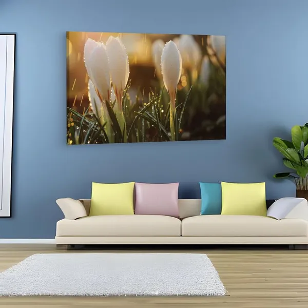 Multicolor_16_X_24_Inch,_Pine_Wood_Framed_Canvas_Paintings_|_For_Home_Decor,_Ready_To_Wall_Hanging,_Premium_Painting_|_For_|_Bedroom,_Living_Room,_Office_Wall_Decoration_|_Wall_Art_Painting,_Ct1846