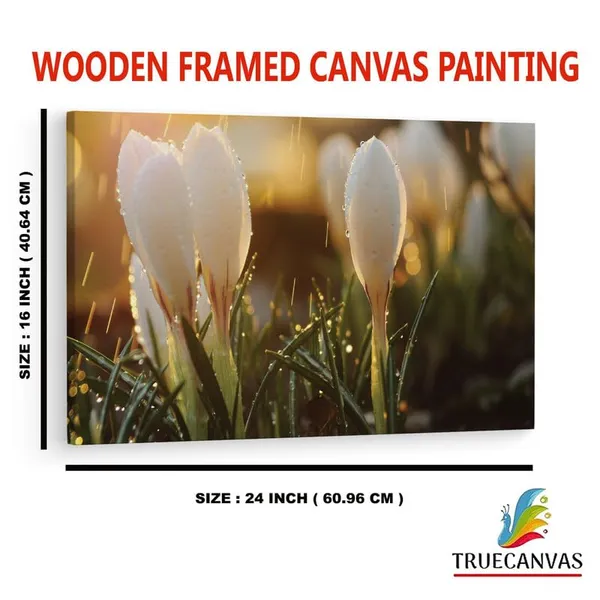 Multicolor_16_X_24_Inch,_Pine_Wood_Framed_Canvas_Paintings_|_For_Home_Decor,_Ready_To_Wall_Hanging,_Premium_Painting_|_For_|_Bedroom,_Living_Room,_Office_Wall_Decoration_|_Wall_Art_Painting,_Ct1846