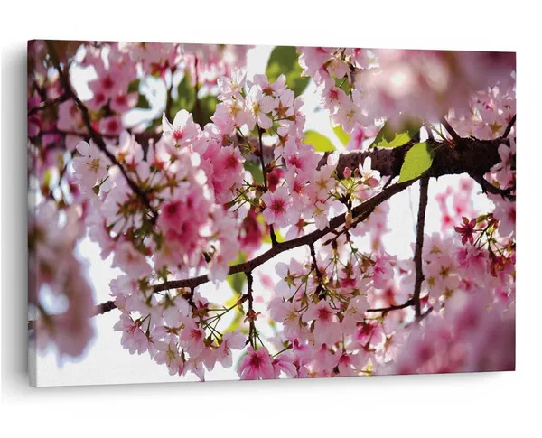 Multicolor_16_X_24_Inch,_Pine_Wood_Framed_Canvas_Paintings_|_For_Home_Decor,_Ready_To_Wall_Hanging,_Premium_Painting_|_For_|_Bedroom,_Living_Room,_Office_Wall_Decoration_|_Wall_Art_Painting,_Ct1848