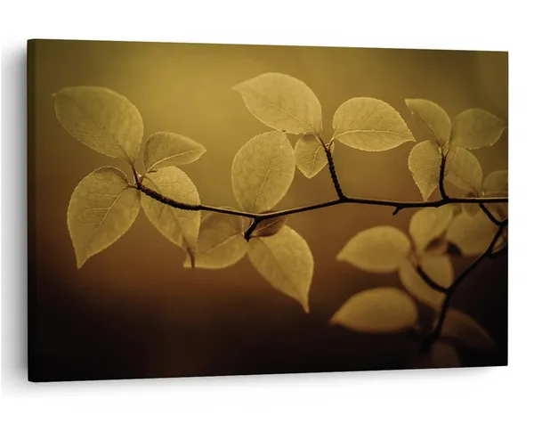 Multicolor_16_X_24_Inch,_Pine_Wood_Framed_Canvas_Paintings_|_For_Home_Decor,_Ready_To_Wall_Hanging,_Premium_Painting_|_For_|_Bedroom,_Living_Room,_Office_Wall_Decoration_|_Wall_Art_Painting,_Ct1849