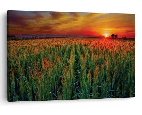 Multicolor_16_X_24_Inch,_Pine_Wood_Framed_Canvas_Paintings_|_For_Home_Decor,_Ready_To_Wall_Hanging,_Premium_Painting_|_For_|_Bedroom,_Living_Room,_Office_Wall_Decoration_|_Wall_Art_Painting,_Ct1850